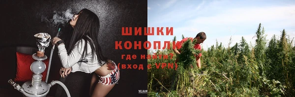 дмт Верея